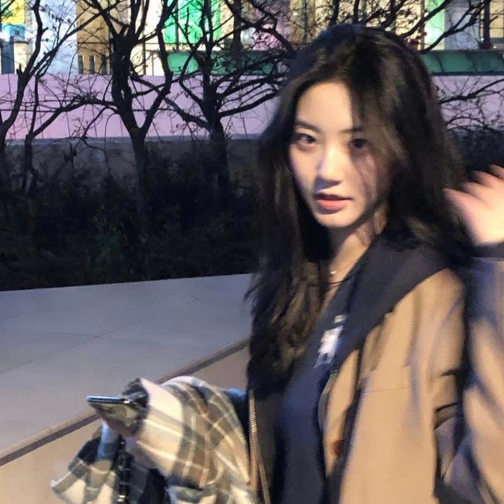 齐姆与友